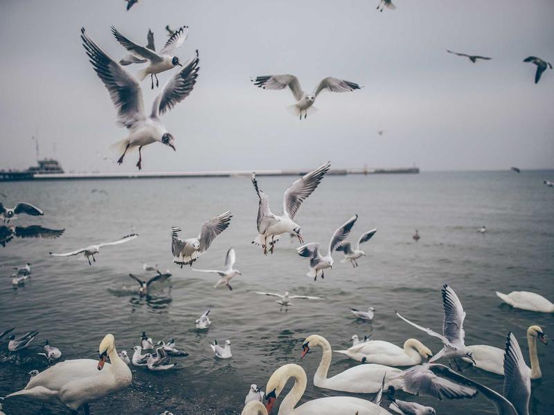 sudoku technique mastery screenshot 4