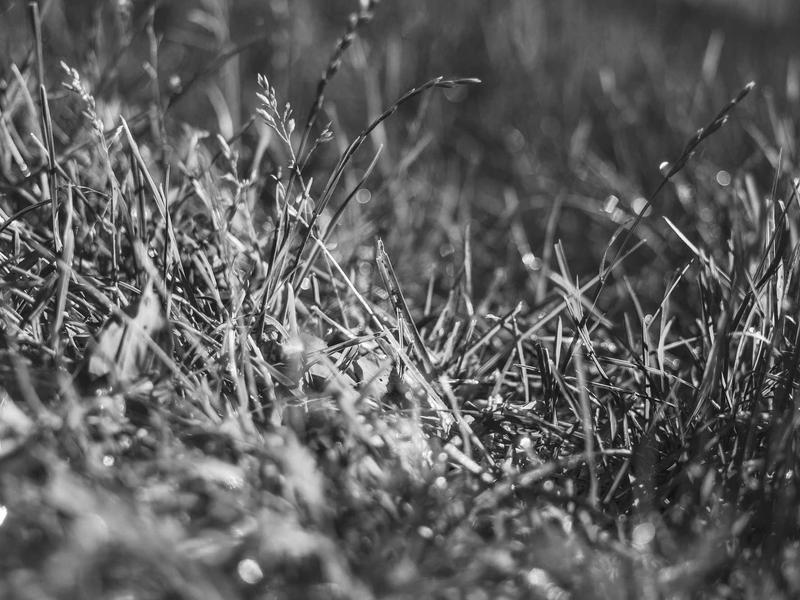 sudoku timer mode screenshot 4